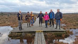 Learn about Laois bog project two decades in the making this November