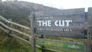 'Easy to miss' Laois leisure spot's viral signpost has been replaced