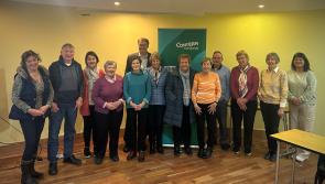 'Laois is a very generous place' - Concern volunteers thanked for raising almost €250k