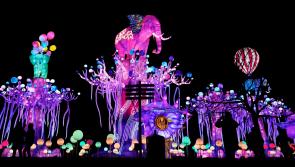IN PICTURES: Wild Lights at Dublin Zoo returns for 2023 with dazzling display