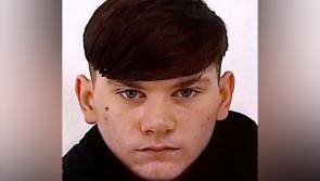 Gardai issue a new Laois appeal for teen missing again from Portlaoise