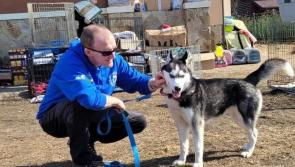 Dog  charity lifesaver in Laois in line for national volunteering award