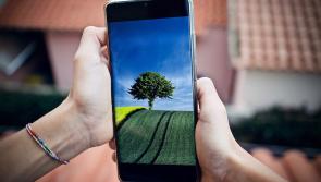 Mobile phones could monitor greenhouse gas from Laois cows