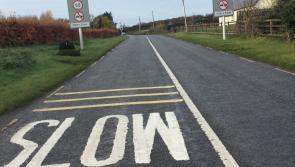 Urgent action called for at deadly stretch of Laois road