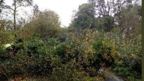 WEATHER WARNING: Storm Gerrit to disrupt Christmas cheer  