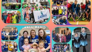 In PICTURES Memory Lane: What a year of Laois events