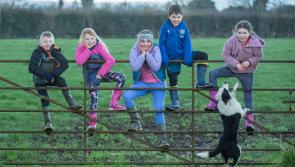 'Walk with us' - Laois locals urged to wear wellies to support bereaved farm families