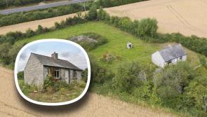 PICTURES: Little Laois cottage on large site with huge potential going for €135k