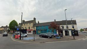 Woman accused of assaulting three gardaí in Laois