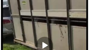 Laois Gardaí  issue appeal over stolen trailer