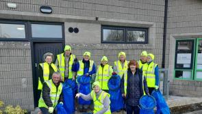 WATCH: Huge boost for Portlaoise Tidy Towns from Laois credit union