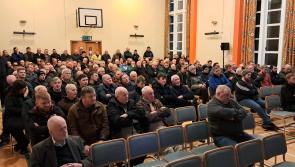 Support sought at Laois public meeting to help reopen Mountrath Mart