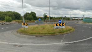 Green light for 45 houses in Laois