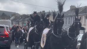 WATCH: 'True gentleman' Mixie gets big send off with horse-drawn procession through Laois town