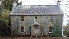 PICTURES: Laois fixer-upper house with endless potential could go for €90k at auction