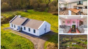 PICTURES: Country living perfection as tranquil Laois bungalow on big site hits the market