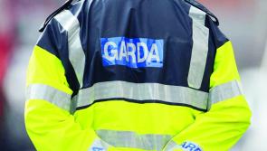 Garda investigation launched  following discovery of body