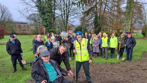 PICTURES:  30,000th tree planted in Portlaoise as Tidy Towns team up with HSE 