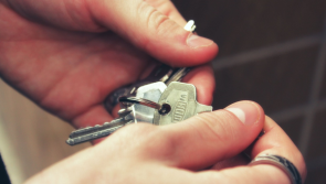REVEALED: Just six vacant housing grants paid to homeowners in Laois