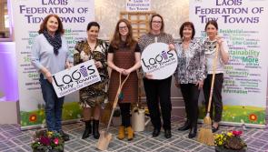 PICTURES: Laois Tidy Towns 'unlock potential' with annual meeting 