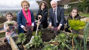 Laois Tidy Towns groups to receive community biodiversity grants 