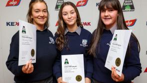 Laois students exhibit project at Croke Park in national beef contest 