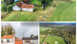 PICTURES: Laois house and farm on five acres could be snapped up for just €225,000