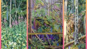 Inspirational landscape art to grace Laois arts centre on 25th anniversary in Portlaoise