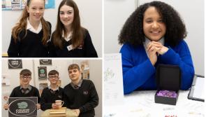 PICTURES: County Final of the Student Enterprise awards in Laois