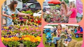 Gardeners' World star set for Buds and Blossoms summer festival in Laois