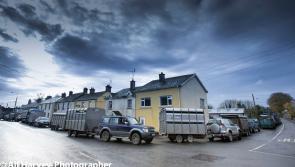 Plans change to reopen mart in Laois that shut due to high costs 