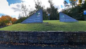 Criticism has been leveled at the IDA over its record in Laois