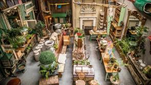 Laois business named among the top antique shops in the world 