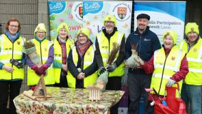 More green roots planted in Laois with tree giveaway in Portlaoise