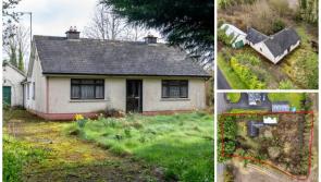 PROPERTY:  Midlands fixer-upper bungalow for €150k  could be blissful