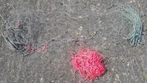 Dublin men convicted and heavily fined for illegal fishing in Laois