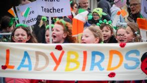 PICTURES: A fantastic St Patrick's Day in Rathdowney 