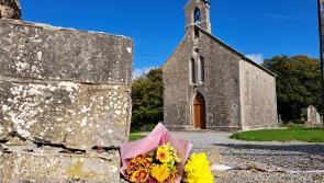 Council can't comply with Judge's call to cut speed at Laois landmark where tourist died