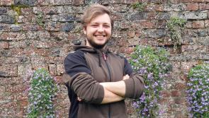 Laois landscaper to feature in this year’s Bloom festival 