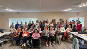 Expansion of Women’s Sheds underway across Laois