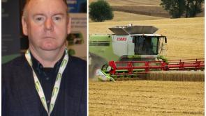 Laois tillage farmers in dire straits due to weather 