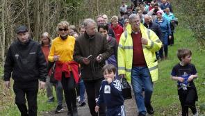 Warning that Laois woods might not be ‘trip attractor’ for walkers
