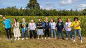 Laois council wants big local ideas for a new  €1 million community fund 
