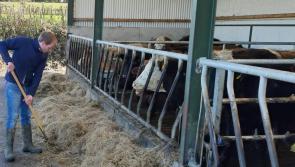 Every farmer hit by weather deluge claims Laois IFA Chairman