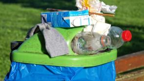 Laois students reach semi-finals of Young Environmentalist Awards