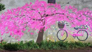 Beautiful mural painted on vacant house in Laois estate 
