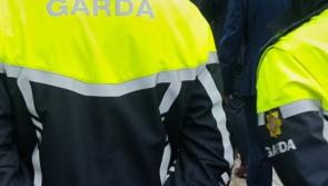 Laois gardai leading investigation after gun is fired at house in Midlands