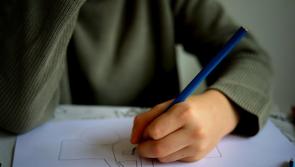 Laois special schools receive additional supports 