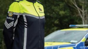 Gardaí raid major Laois drug factory seizing big haul of e tablets and cannabis