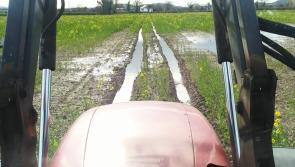 €1.6 million windfall finally paid  Laois tillage farmers hit hard by bad weather 